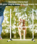Dog practicing with Dog Agility Jump Training Kit With Four Adjustable Hurdles And Storage Bag For Indoor Outdoor Obstacle Course
