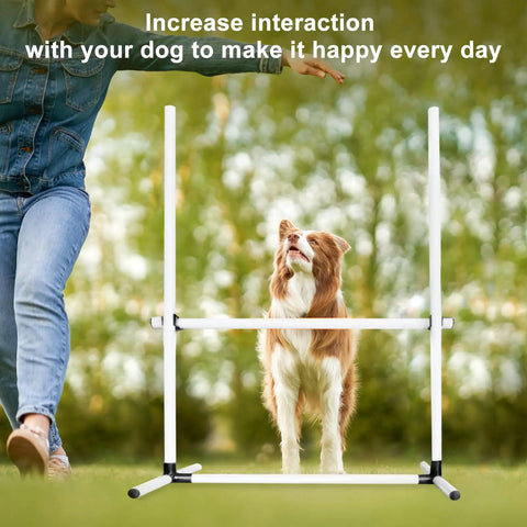 Dog practicing with Dog Agility Jump Training Kit With Four Adjustable Hurdles And Storage Bag For Indoor Outdoor Obstacle Course
