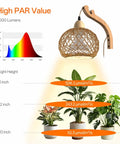 Go-To Rattan Hanging Grow Light For Indoor Plant Parents, 3800K Warm White Botanical Dome displaying PAR values with plants.