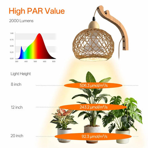 Go-To Rattan Hanging Grow Light For Indoor Plant Parents, 3800K Warm White Botanical Dome displaying PAR values with plants.
