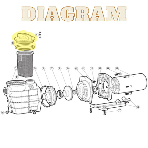 Diagram showing Pool Pump Lid And O Ring Replacement For SPX3100D Pro Super II Pumps And SP3000X Series, highlighted components.