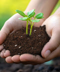 Hands holding soil with seedlings, showcasing Ready To Grow Seed Starter Soil Mix 1 Qt For Germination And Early Growth Loamy Well Drained Compost Blend Ideal For Veggies, Flowers And Houseplants Now.