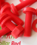 Top Tier Red Polypropylene Pan Head Cross Recess Fasteners M6 X 20mm Set Includes Matching Nuts And Washers, red polypropylene bolts and washers.