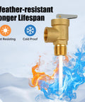 Amazon all-brass 3/4 in NPT automatic temperature and pressure relief valve with extension probe and lever