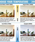 Image comparing color temperatures, including 5000K daylight option for LED Light Bulb A19 60W Equivalent 5000K Daylight Dimmable 800 Lumens.