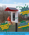 Killer 2 In 1 Hummingbird Feeder With Solar Smart Camera And AI Species Tracking For Backyard Watching Plus Motion Detection, featuring solar panels and cardinal.