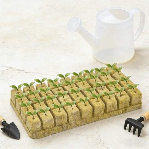 Seedlings in rockwool cubes setup with mini gardening tools and watering can on a marble surface