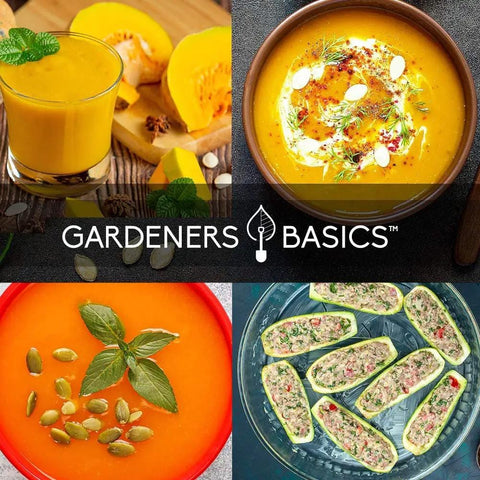 Five Pack Of Homegrown Squash Seeds Delicata Butternut Zucchini Spaghetti And Golden Crookneck For A Non GMO Heirloom Veggie Patch