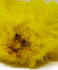 Yellow Saddle Hackle Feathers For Fly Tying Pro Grade Pack Of Four To Six Inch Rooster Feathers Mixed Colors Close-up