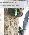 Pro Grade Tree Climbing Gear With Steel Gaffs And Non Slip Ankle Buckles For Arborists And Outdoor Adventurers shown on tree trunk