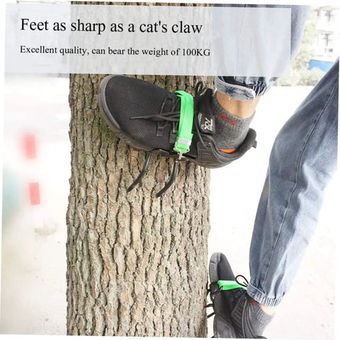 Pro Grade Tree Climbing Gear With Steel Gaffs And Non Slip Ankle Buckles For Arborists And Outdoor Adventurers shown on tree trunk