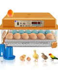 Automatic Egg Incubator For Hatching Eggs With Humidity Control And Auto Egg Turning 36 Egg Capacity For Chicken Quail Duck