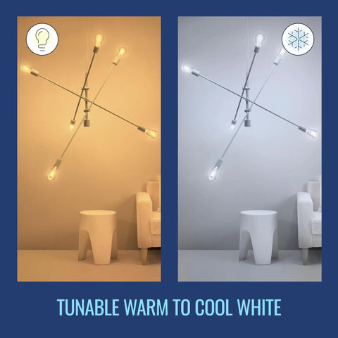 Smart Filament LED Light Bulbs 60W Equivalent ST19 Tunable White E26 WiFi Connected with Motion Activation in warm and cool settings