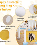 Indoor Dog Agility Training Kit 3 In 1 with Jump Ring, double-bar hurdle, and pole fence for small dogs in use.