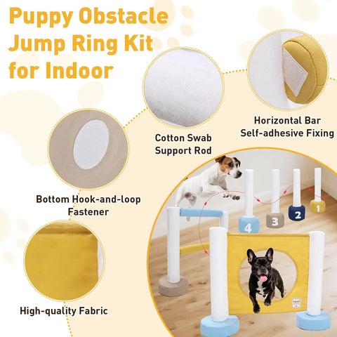 Indoor Dog Agility Training Kit 3 In 1 with Jump Ring, double-bar hurdle, and pole fence for small dogs in use.