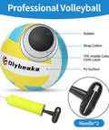 Professional volleyball with PU surface, labeled parts, and included pump, needle shown alongside.