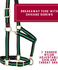 Breakaway Horse Halter With All Day Comfort Foam Padding, Adjustable Chin And Throat Snap, PVC Coated Foam Padding, Polypropylene Design, Green, Average Size, Safe Breakaway Fuse For Equine Tack