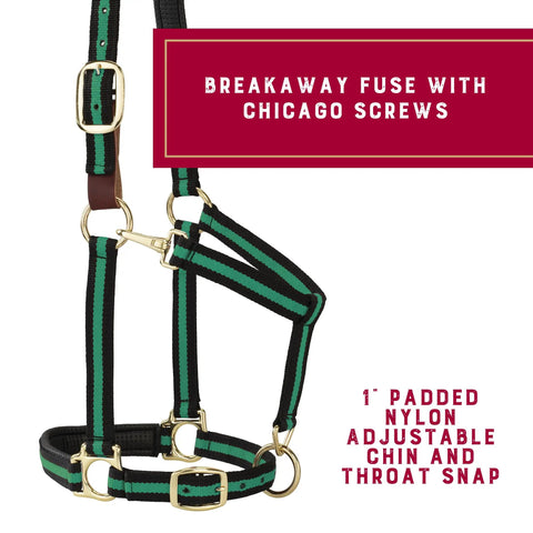 Breakaway Horse Halter With All Day Comfort Foam Padding, Adjustable Chin And Throat Snap, PVC Coated Foam Padding, Polypropylene Design, Green, Average Size, Safe Breakaway Fuse For Equine Tack