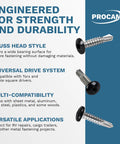 250 Pack Black Self Tapping Sheet Metal Screws For RV And Trailer Skin shown with truss head style and features