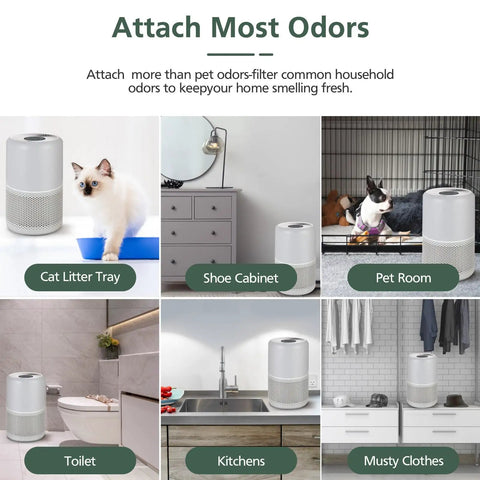 Infographic showing various uses of P350 Pet Care Replacement Filter 3 In 1 Activated Carbon, including pet room and cat litter tray.