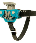 Foot Ascender With Toothless Dual Cams For Reduced Wear And Drag On Climbing Line Use On Either Foot Self Tending Design