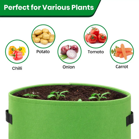 Green grow bag with plants sprouting, suitable for potatoes, tomatoes, carrots, and more. 6 Pack 10 Gallon Potato Grow Bags With View Window Large Fabric Plant Pots With Handles For Veggies Fruits And More Easy Harvest And Haul Green Garden Containers For Home Growers.