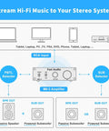 M03 200 Watt Subwoofer Amplifier With TPA3255 For Home Theater, diagram detailing connections for passive or powered subwoofer.
