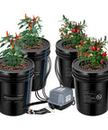 Deep Water Culture Hydroponics System With Top Drip Kit For Four Buckets 5 Gallon DWC Grow Kit with plants and air pump