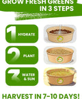 Indoor Cat Grass Kit 3-Pack Quick Grow With Eco Friendly Biodegradable Pots Soil And Wheatgrass Seeds with growth instructions