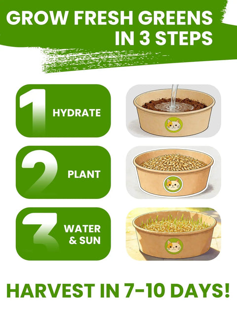 Indoor Cat Grass Kit 3-Pack Quick Grow With Eco Friendly Biodegradable Pots Soil And Wheatgrass Seeds with growth instructions