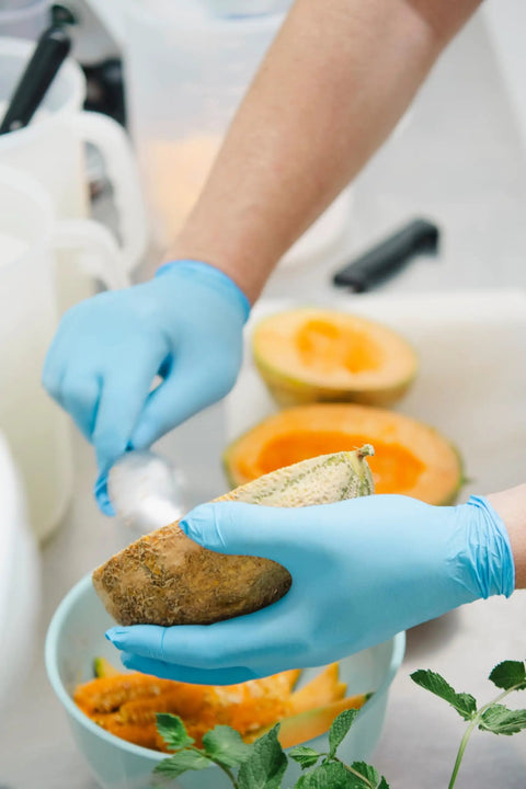 Hands wearing Vinyl Exam Gloves X Large Latex Free Powder Free Case Of 1000 For Allergy Sufferers while handling melon