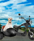 Blazing Fast 4000 Watt Electric Bike With 60 Volt Battery And Badass Removable Sidecar For Kids Or Pets with dog in sidecar.
