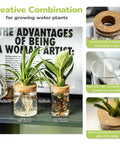 Dope Glass Propagation Stations For Plants Desktop Flower Vases Set Of Four With Two Large And Two Small Vases For Plant Cuttings Living Room Bedroom Home Office Decor Borosilicate Crystal Clear Glass displayed with plants and roots