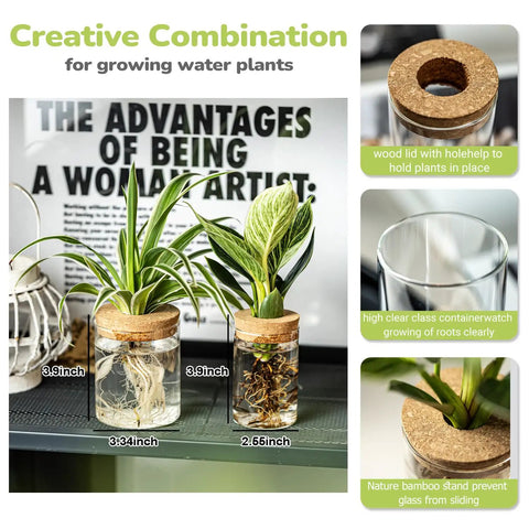 Dope Glass Propagation Stations For Plants Desktop Flower Vases Set Of Four With Two Large And Two Small Vases For Plant Cuttings Living Room Bedroom Home Office Decor Borosilicate Crystal Clear Glass displayed with plants and roots