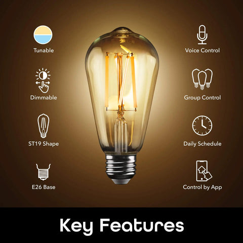 Smart ST19 Edison LED Light Bulb 2 Pack Tunable White App Controlled Dimmable Works With Alexa And Google Home WiFi Key Features