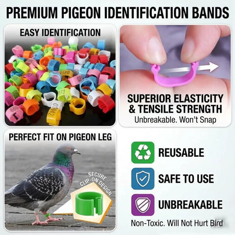 All In One Pigeon Care Starter Kit with colorful leg bands and pigeon leg fit demonstration.
