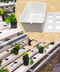 Six Holes Seedling Kit For Hydroponics Growing System with PP box on hydroponic plant rack indoors or outdoors.