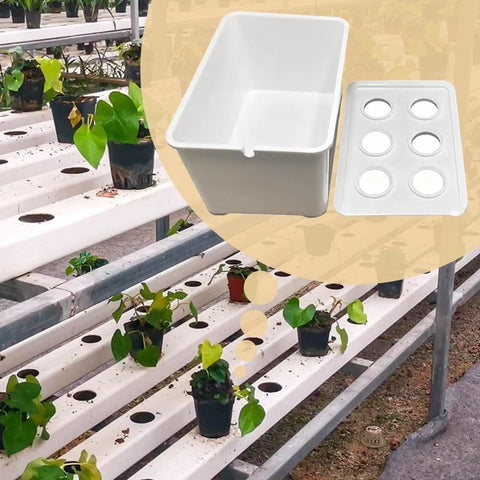 Six Holes Seedling Kit For Hydroponics Growing System with PP box on hydroponic plant rack indoors or outdoors.