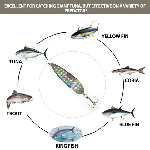 Diagram with Pro Grade Spoon Fishing Lures Set, 2 Oz Silver Finish, 6 Pack With 3X Strong Mustad Treble Hooks for various fish species.