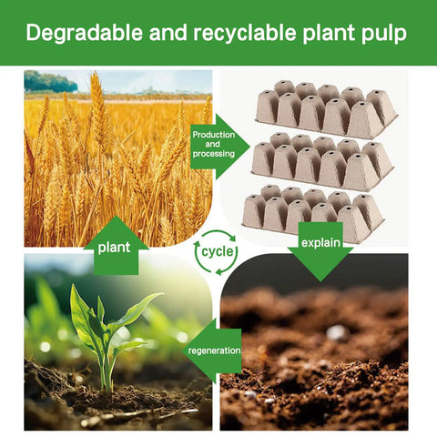 360 Cell Seedling Starter Trays With Biodegradable Peat Pots, 36 Pack Eco Friendly Garden Kit For Germination Of Herbs Vegetables Tomatoes Microgreens Lettuce Flowers And More Great For First Time Gardeners