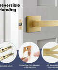 2 Pack Gold Dummy Door Handles For Interior Doors, Single Sided Rear Mount Lever Knobs, Heavy Duty Satin Brass Finish close-up