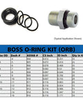 O Ring Hydraulic Seal Kit For SAE 900 Series 12 Sizes Buna N 90 Oil Resistant Nitrile Pack Of 275 Seals with chart and example