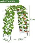 Tall Garden Arch Trellis For Climbing Plants with tomatoes, 86 inch metal archway, outdoor tunnel for vines and vegetables