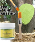 DIY Friendly Tree Pruning Sealer Paste With Brush, 100g Wound Repair Sealer For Trees, Grafting Garden Pruning Paste on tree trunk