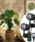 LED Spotlight For Plants And Indoor Outdoor Accent Lighting, Low Voltage 12V Warm White Up Down Spot Lights illuminating plant