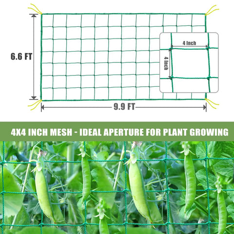 Beefed Up Heavy Duty Garden Trellis Netting For Climbing Plants Outdoor Support 9.85 By 6.6 Feet With 27 Strands And 4 By 4 Inch Mesh Grow Net For Vines Cucumbers Tomatoes Beans Fruits And Vegetables displayed with peas climbing.