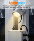 Outdoor light with 72 Piece Cable Glands Kit With Waterproof Strain Relief For Cables And Pass Through Grommets in rainstorm