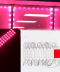 Magenta Hot Pink 40ft LED Light Module For Storefronts With 5630 LEDs Waterproof UL Listed 12V AC Power 80 Modules