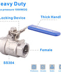 DERNORD stainless steel 304 ball valve with locking blue lever, full-port, 3/4 in NPT, female threaded ends