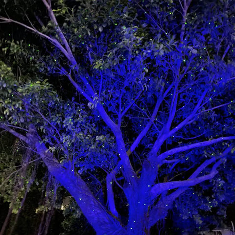 Firefly Garden Lights Star Projector With Yellow Green Laser Fireflies And Blue Nebula Cloud Outdoor Yard Decor lighting up a tree